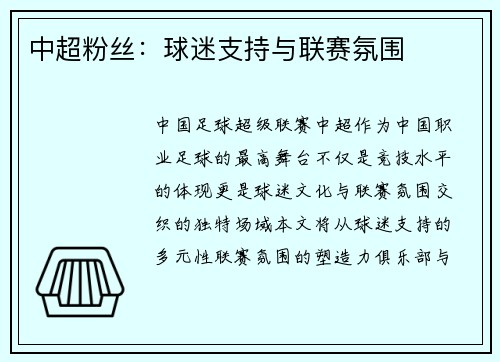 中超粉丝：球迷支持与联赛氛围
